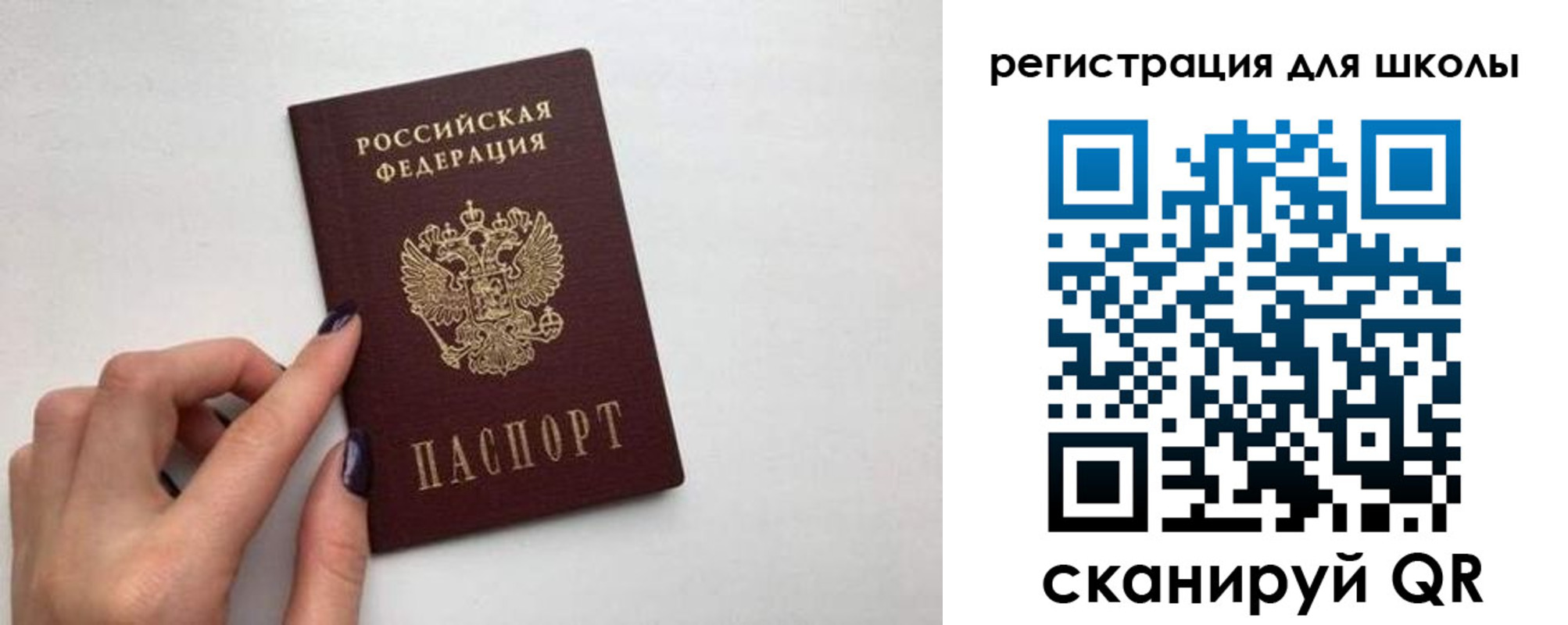 прописка поиск в Тайшете